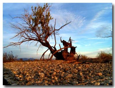 afternoon light - wide angle