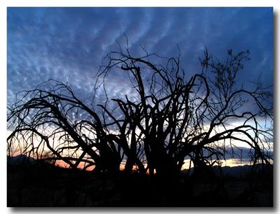 just before sunset - wide angle