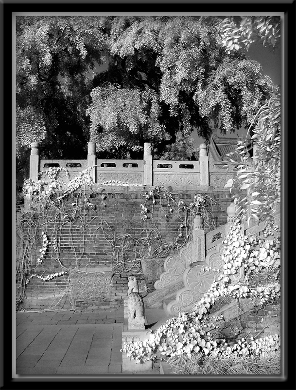 Wild Goose Pagoda - infrared 2