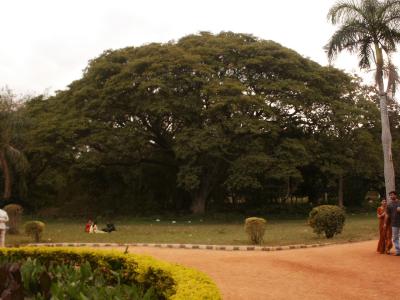 PICT1722.JPG