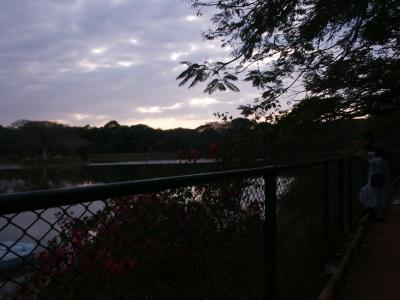 PICT1726.JPG