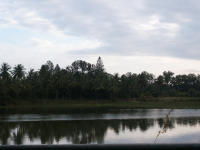 PICT1732.JPG