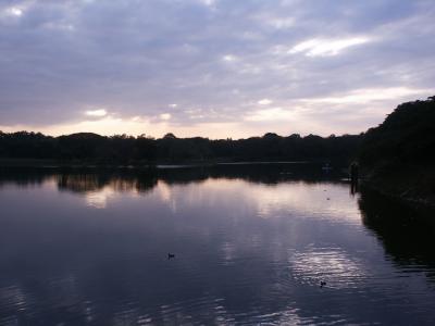 PICT1741.JPG