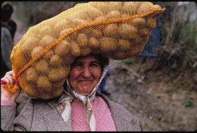 25 kilos of potatoes