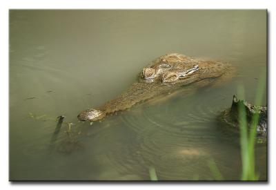 CRW_0460.jpg