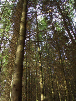 Bruce's Mill Conservation Area
