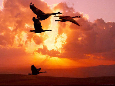 0_Modified-II-psp7-Sunset.jpg