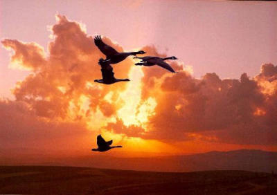 0_Modifies-psp7-Sunset.jpg