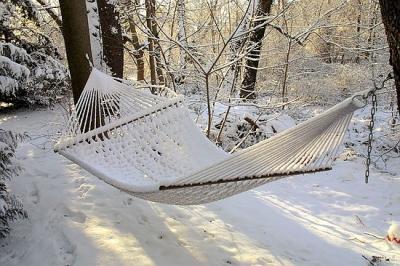 u2/brandol/medium/18112537.hammock.jpg