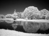 Brookgreen Gardens infrared 25
