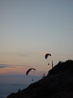 DSC06081.jpg