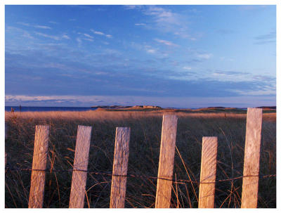 Dune Fence