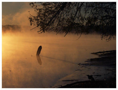 Fog Stick