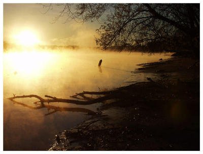 Androscoggin Myst