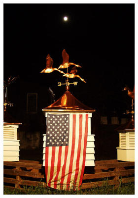 Vane Patriotism