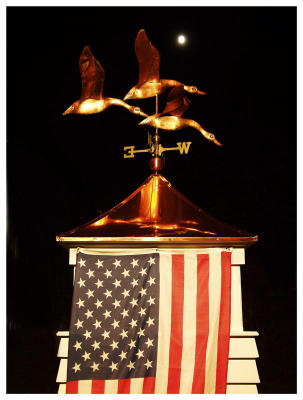 Winged Patriotism