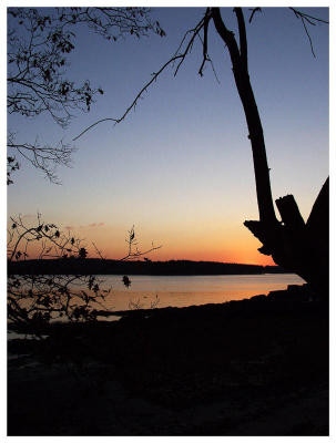 Harpswell Silhouettes