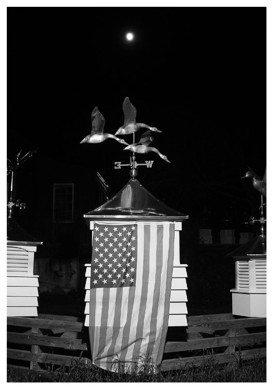 Vane Patriotism B&W