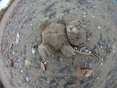 DSCN6115.JPG