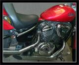 Steed