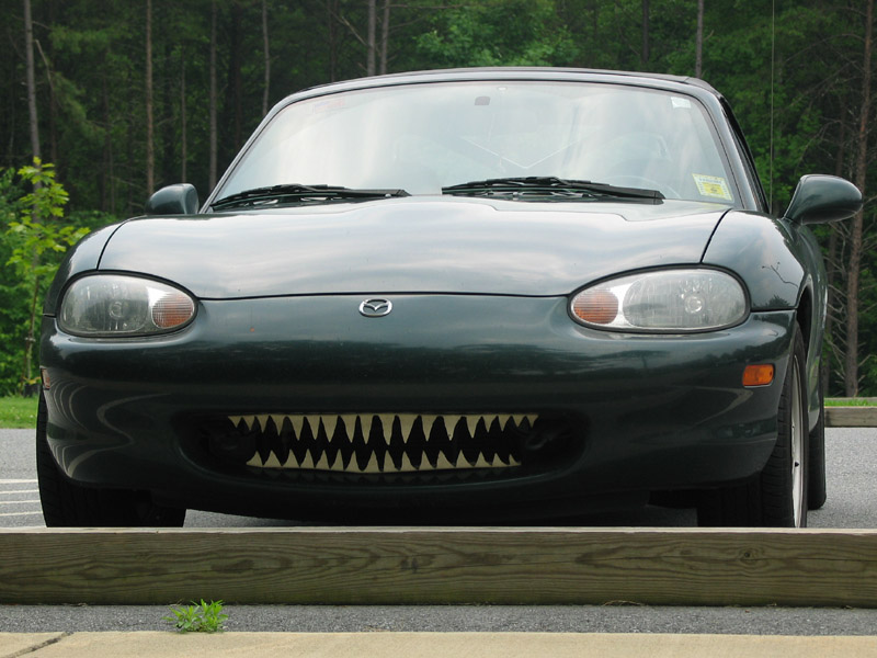Say Cheese!
