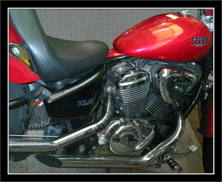Steed