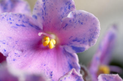 CRW_2569L.jpg