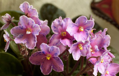 CRW_2568L.jpg
