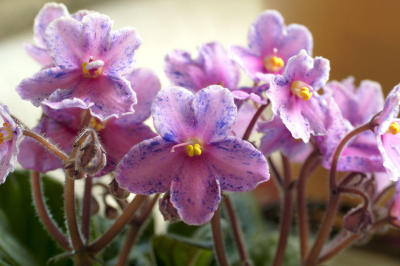 CRW_2567L.jpg
