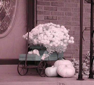 neighbors porch infrared