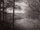 Infrared Quadtone View