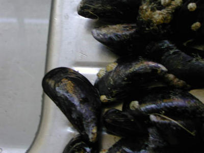 DSCN2047.JPG