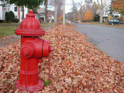 DSCN2228.JPG