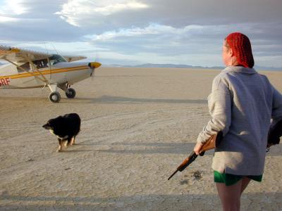 plane arrivals are greeted by guns and dogs
