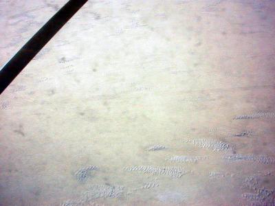playa serpants from above