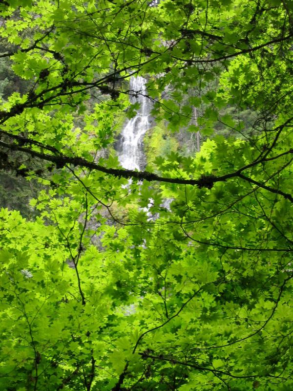 Skookum Falls