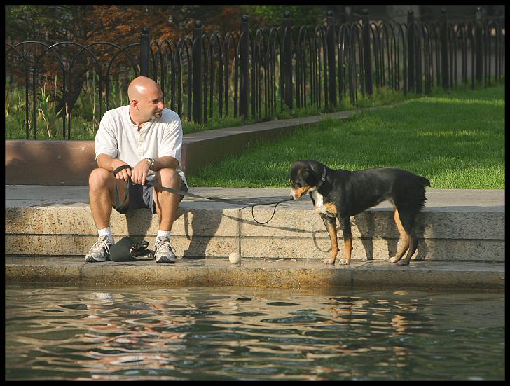 MwD