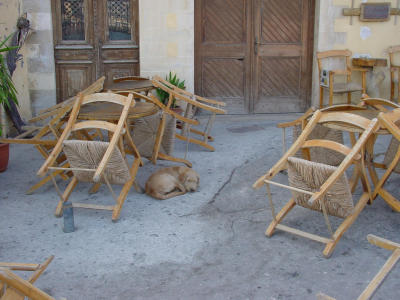 Dsc00037.jpg