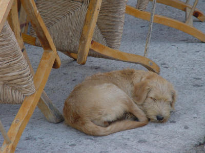 Dsc00038.jpg