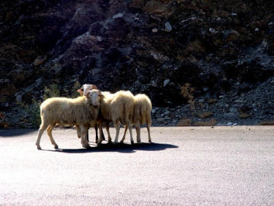 cretes-south-coast1