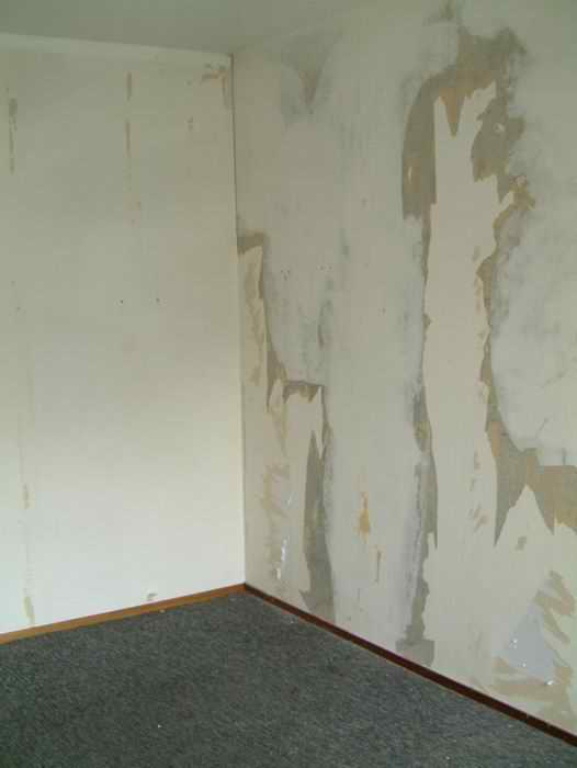 DSCF0264.jpg