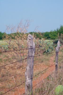 Front-Row-Post