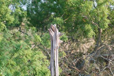 Cracked-Post