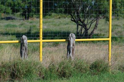 Caution-Posts