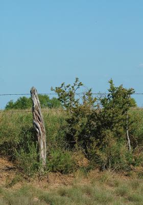 High-Bank-Post