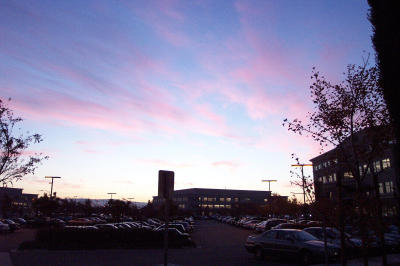 DCP_5985.JPG