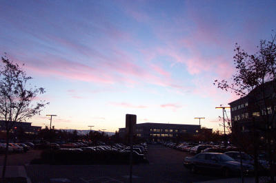 DCP_5986.JPG