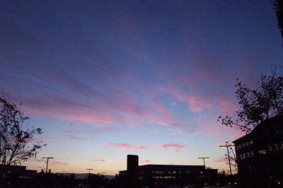 DCP_5987.JPG