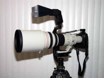 600 F4 with flash and Wimberley Head