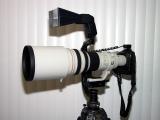 600 F4 with flash and Wimberley Head